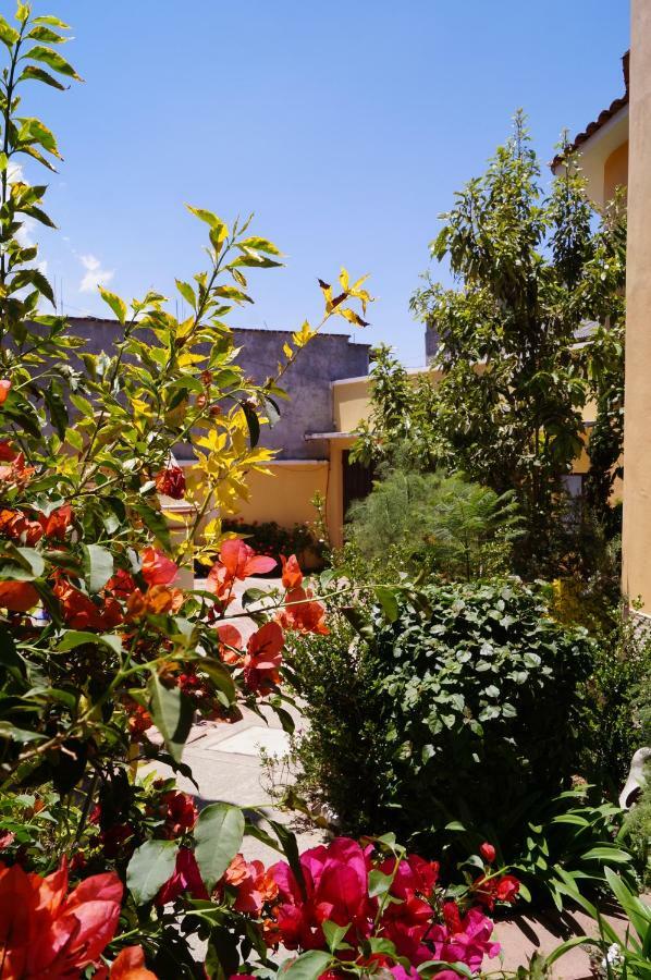 San Cristóbal de Las Casas J&K Suite المظهر الخارجي الصورة